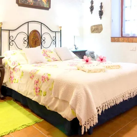 Comfortable House In With Shared Pool La Laguna (Tenerife)